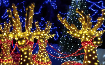 INAUGURAL REINDEER ROAD CHRISTMAS LIGHTS EVENT TO BE HOSTED IN NAPERVILLE THROUGHOUT DECEMBER 2021