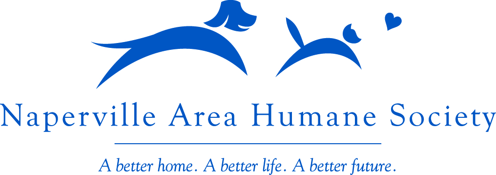 Naperville Area Humane Society YMCA - Safe 'N Sound