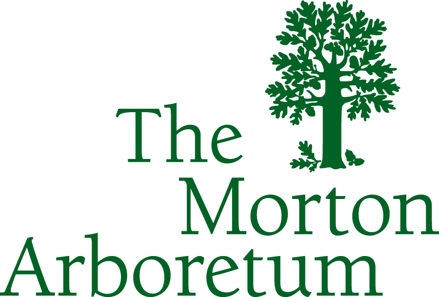 The Morton Arboretum