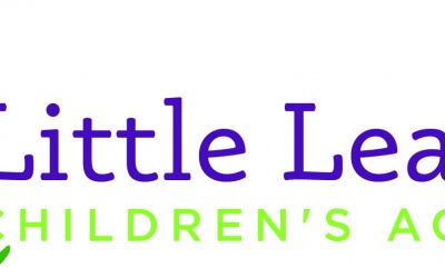 Little Learner Children’s Academy