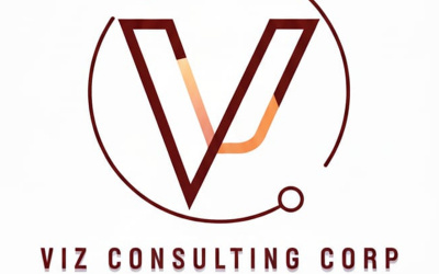 VIZ CONSULTING CORP