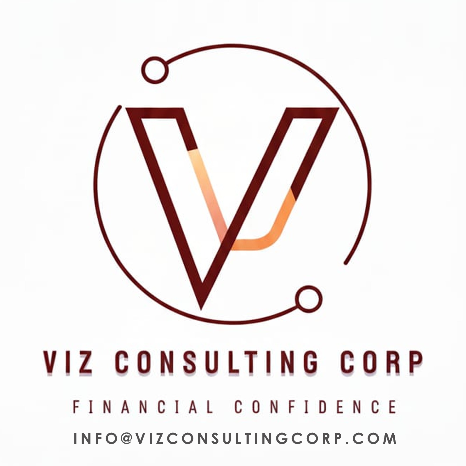Viz Consulting