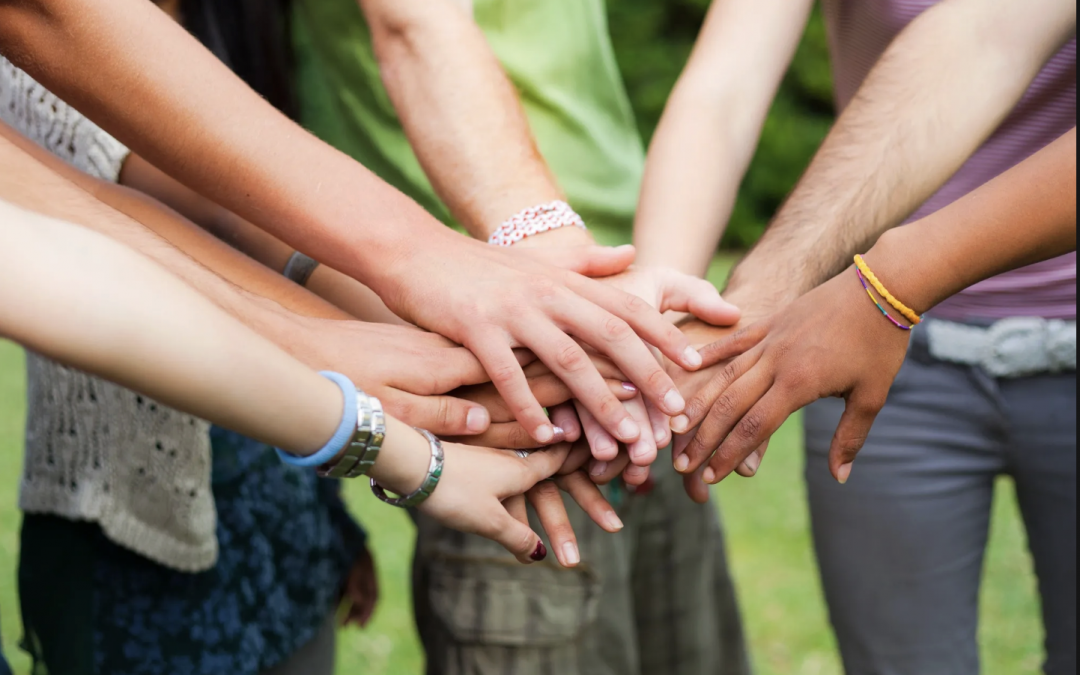 DuPage County Juvenile Justice Council: Community Resource Site